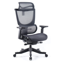 Office Chairs with Headrests