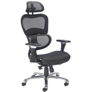 Chequers Mesh Ergonomic Posture Office Chair