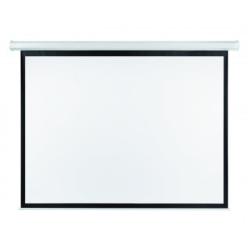Projector Screens 