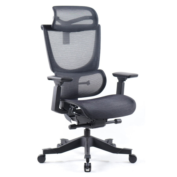 Elise Full Mesh Ergonomic Task Chair