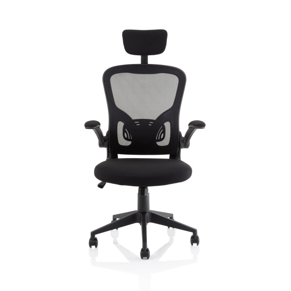 Ace Executive Mesh Chair With Folding Arms