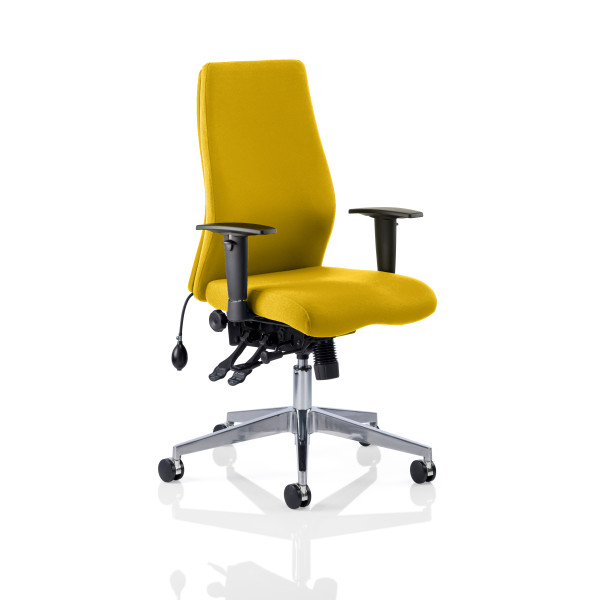 Chiro Curve 24 Hour Bespoke Posture Office Chair