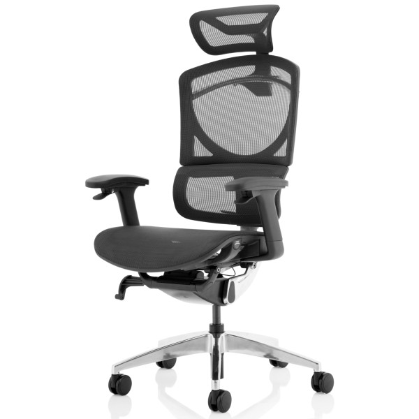 Ergo Click Plus Ergonomic 24 Hour Mesh Office Chair