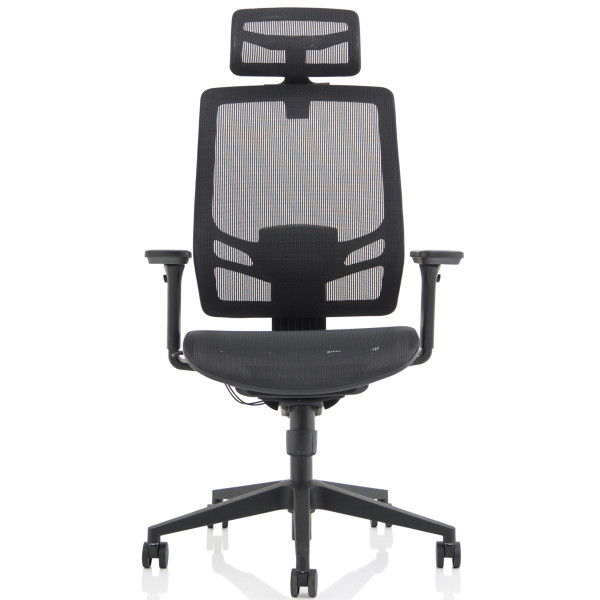 Ergo Twist Ergonomic Mesh Office Chair