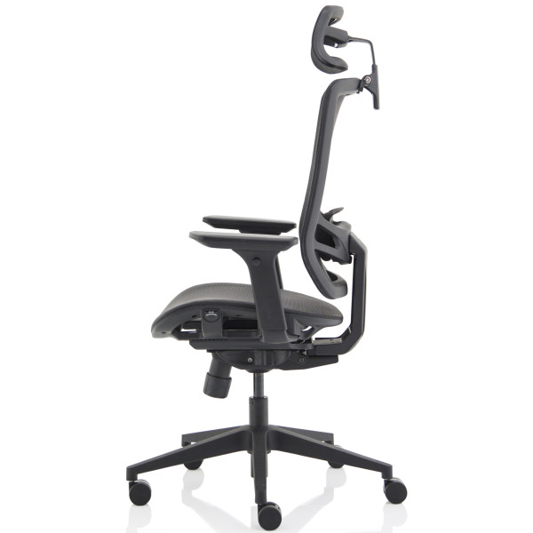 Ergo Twist Ergonomic Mesh Office Chair