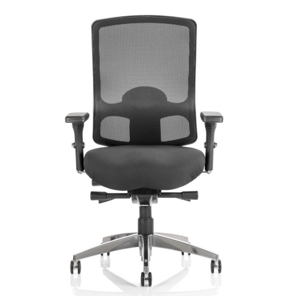 Regent Heavy Duty Ergonomic Mesh Office Chair