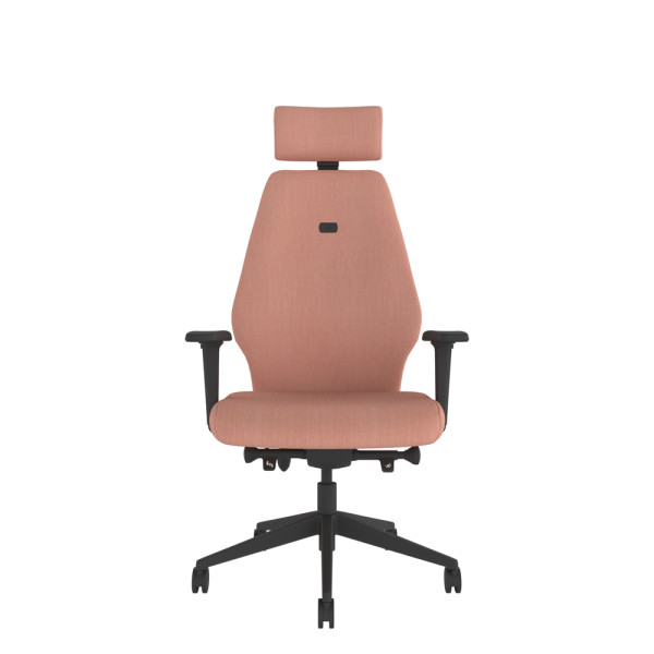 Solo High Back Chair With Headrest