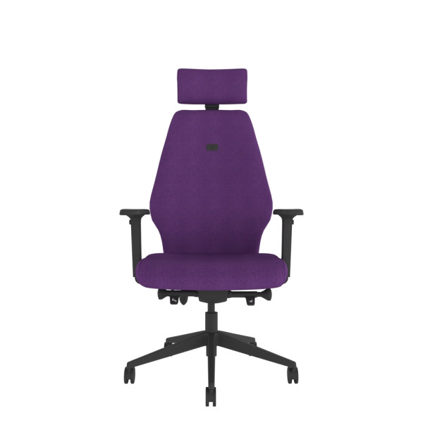 Solo High Back Chair With Headrest