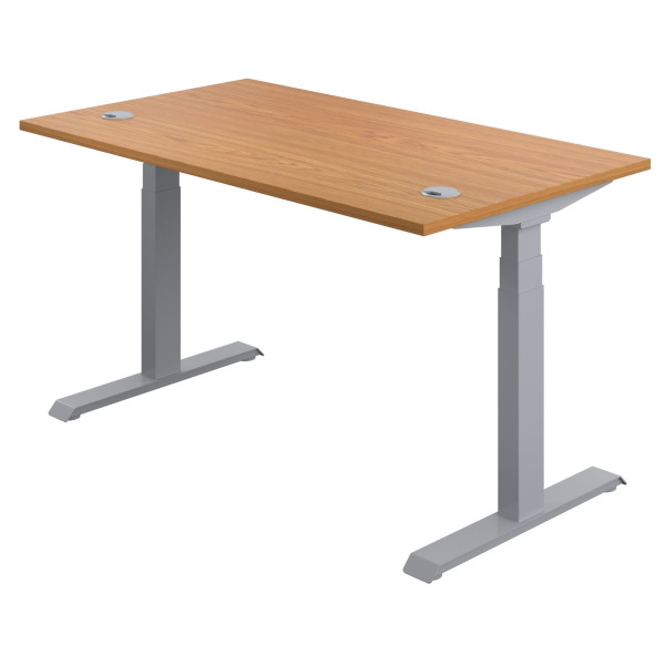 Olton Height Adjustable Straight Office Desk