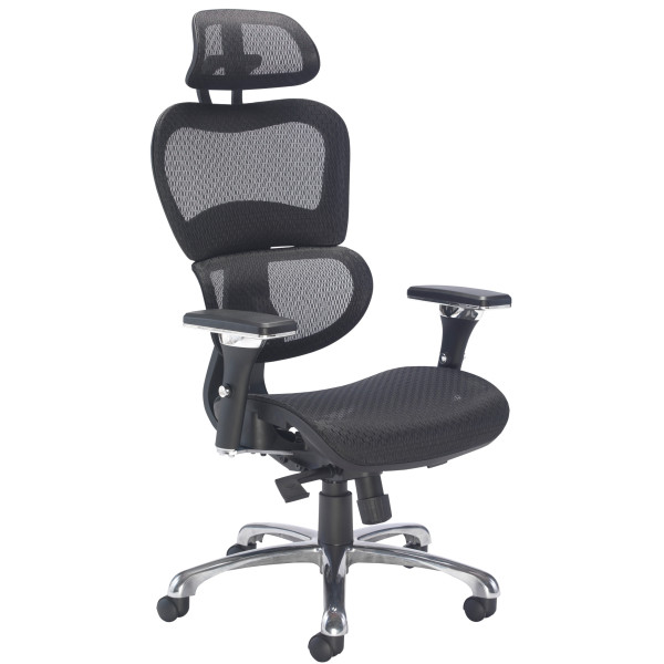 Chequers Mesh Ergonomic Posture Office Chair
