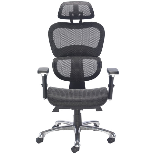 Chequers Mesh Ergonomic Posture Office Chair