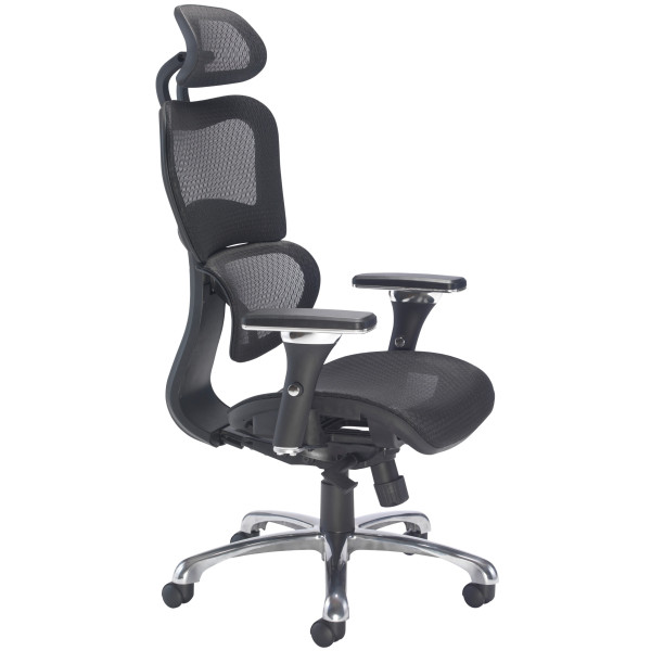 Chequers Mesh Ergonomic Posture Office Chair