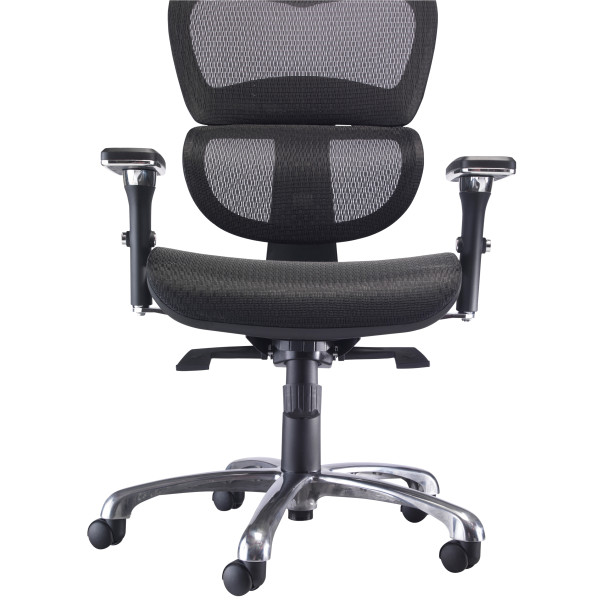 Chequers Mesh Ergonomic Posture Office Chair
