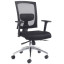 With Arms & No Headrest +£40.00