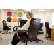 Calgary Brown Leather Faced Office Chair