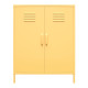 Novogratz Metal Cupboard with Shelves