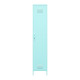 Novogratz Cache Single Metal Locker Storage Cabinet