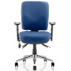 Chiro Medium Back Operator Ergononomic Chair
