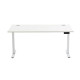 Rise Electric Twin Motor Height Adjustable Desk