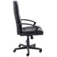 Canasta Leather Executive Office Chair