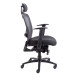 Strata Mesh 24 Hour Posture Chair