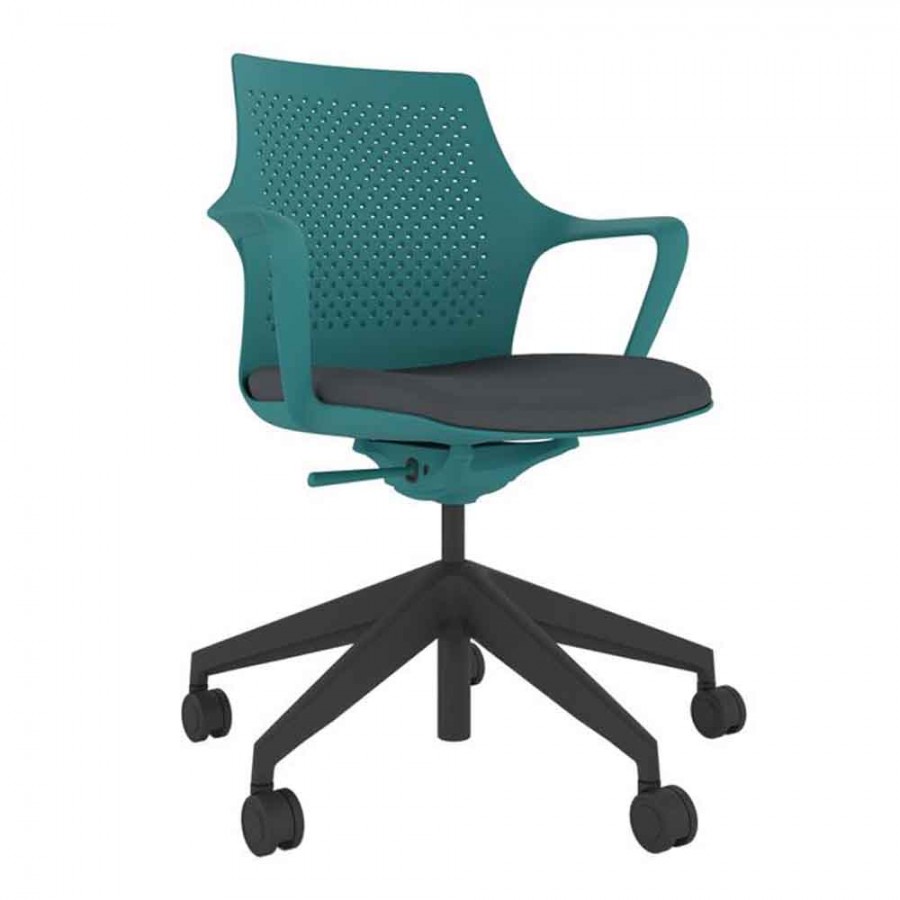 Turquoise Perforated Shell With Black Swivel Base