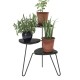 Novogratz Athena Plant Stand / Coffee Table