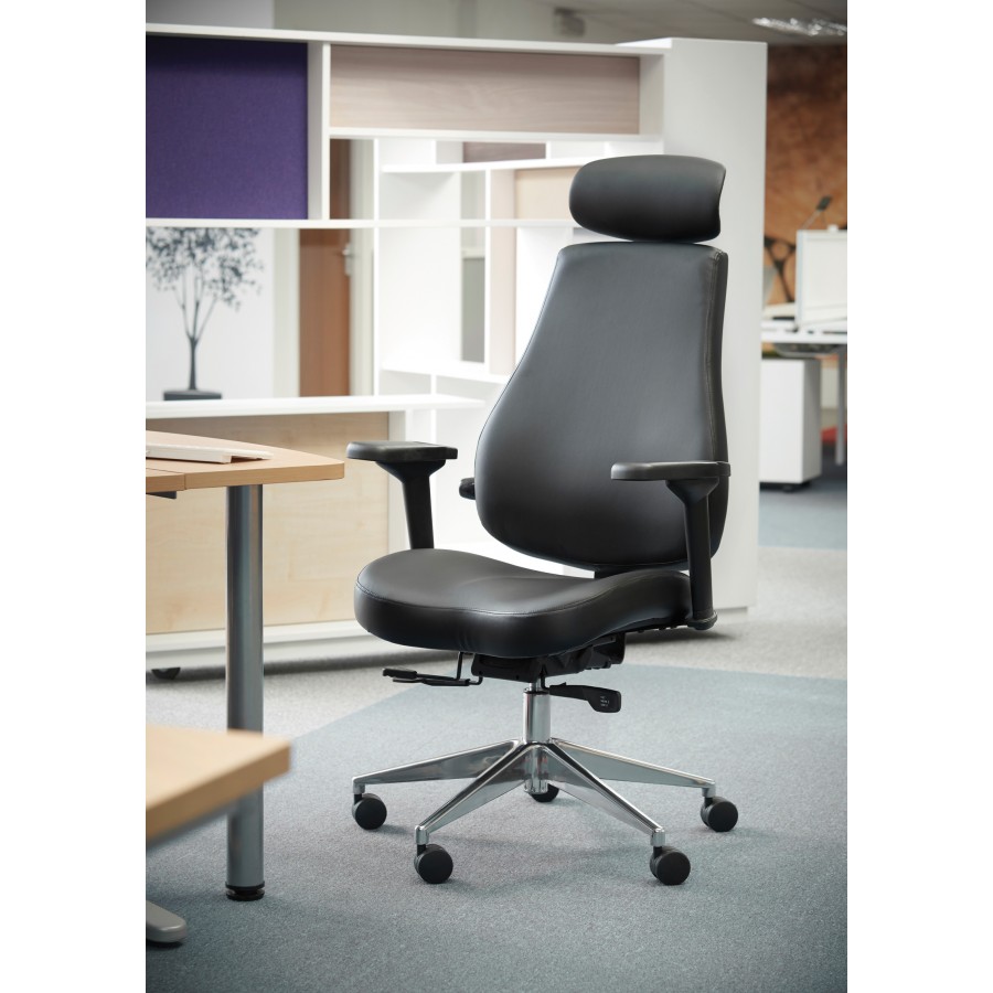 Fareham Posture 24 Hour Ergonomic Chair 