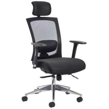 Ergonomic Mesh Chairs