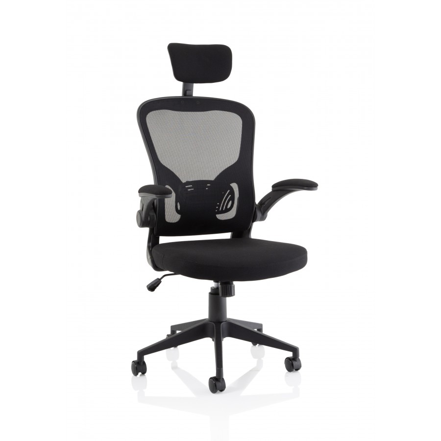 Ace Executive Mesh Chair With Folding Arms