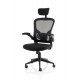 Ace Executive Mesh Chair With Folding Arms