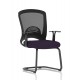 Astro Bespoke Visitor Cantilever Leg Mesh Chair