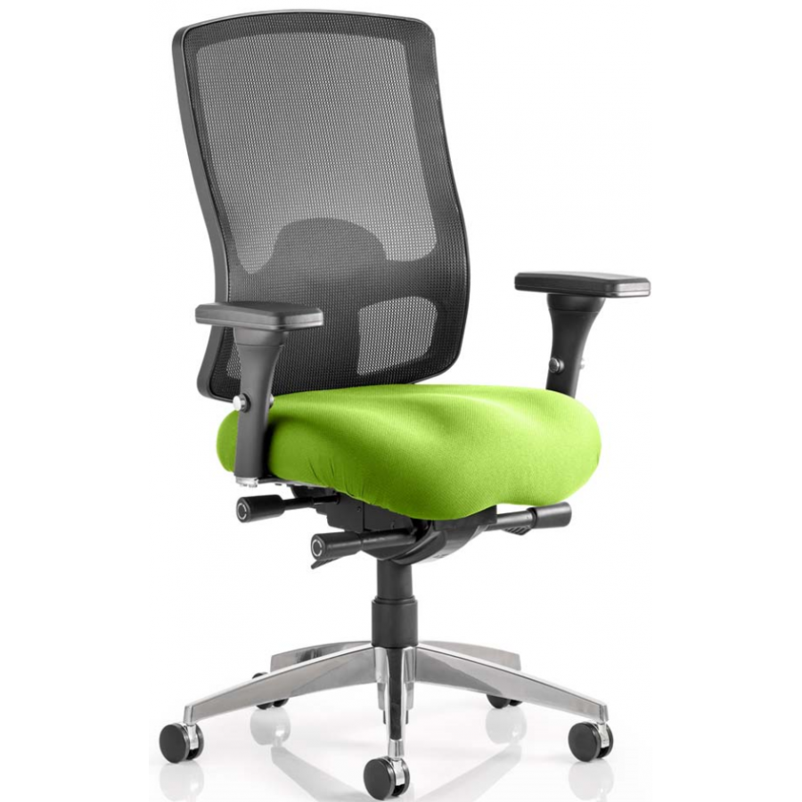 Regent Bespoke Ergonomic Mesh Posture Office Chair