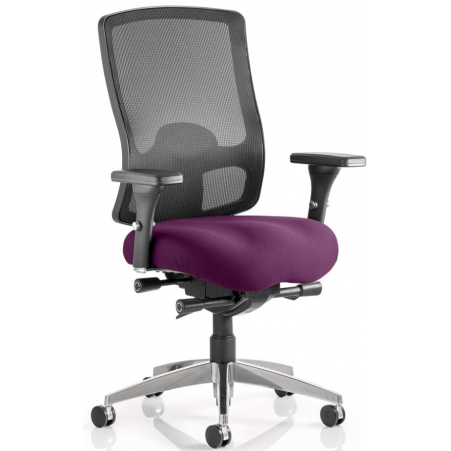 Regent Bespoke Ergonomic Mesh Posture Office Chair