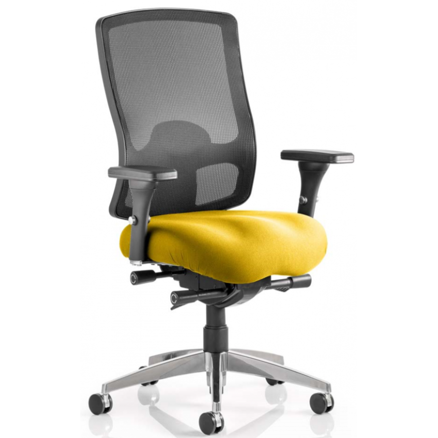 Regent Bespoke Ergonomic Mesh Posture Office Chair