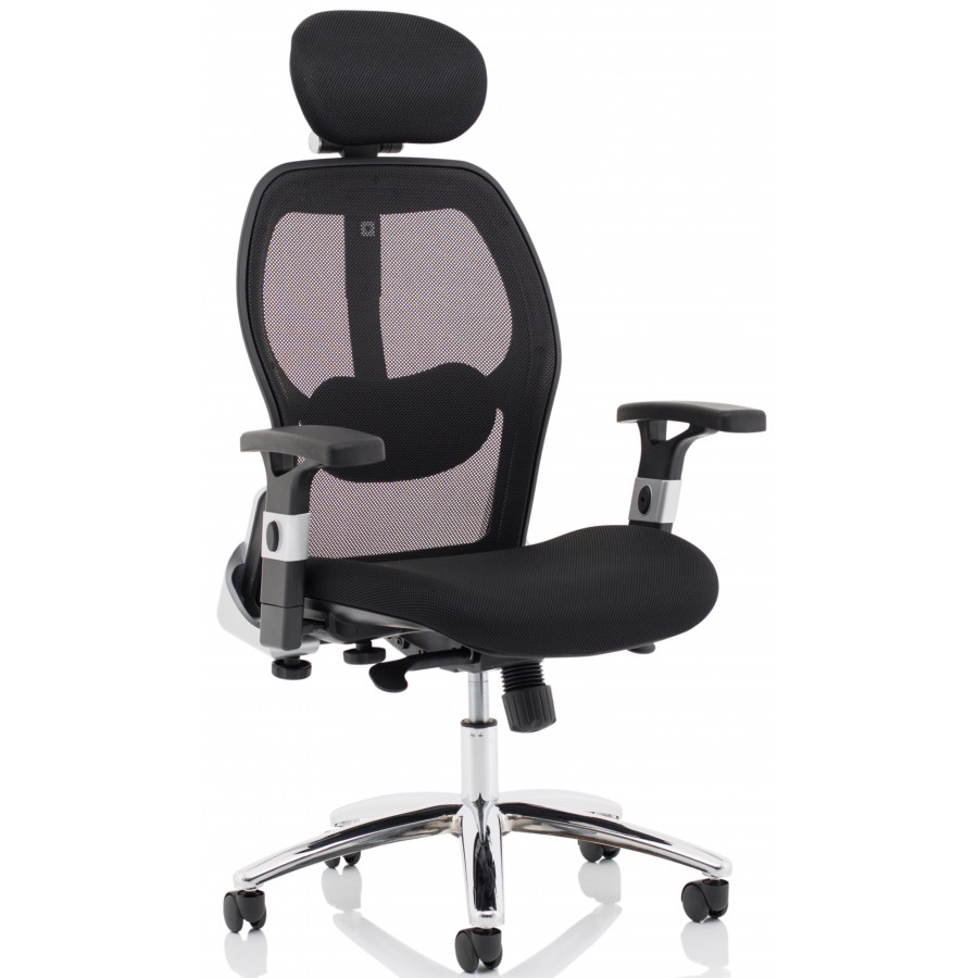 Sanderson Mesh Posture Lumbar Support Chair