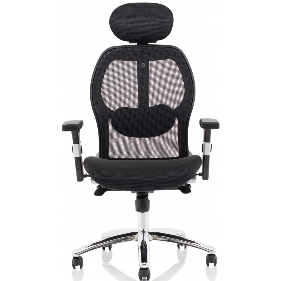 Sanderson Mesh Posture Lumbar Support Chair