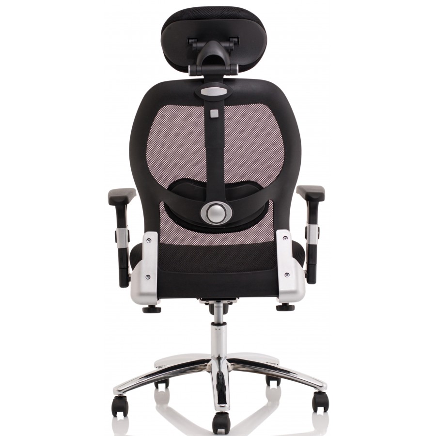 Sanderson Mesh Posture Lumbar Support Chair