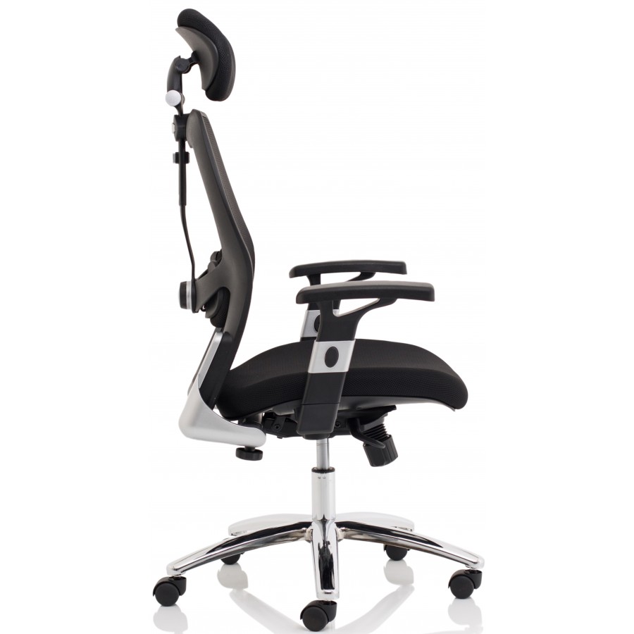 Sanderson Mesh Posture Lumbar Support Chair