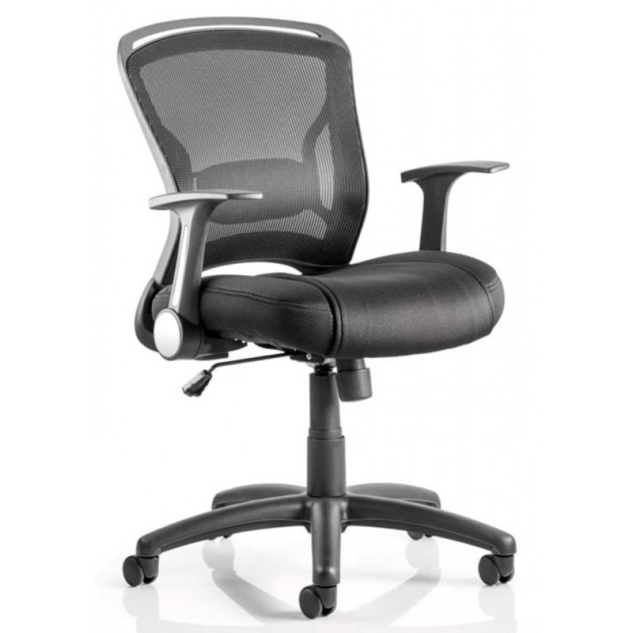 Zeus Mesh Back Ergonomic Office Chair