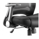 Zeus Mesh Back Ergonomic Office Chair