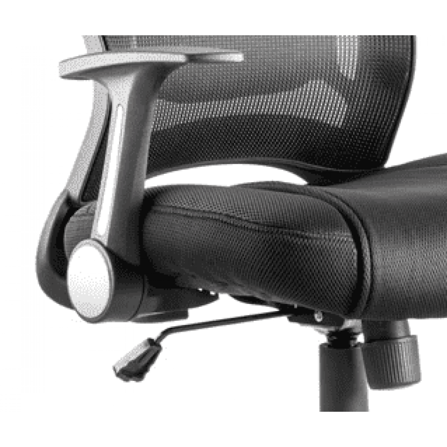 Zeus Mesh Back Ergonomic Office Chair