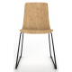 Almond Ash Shell Chair with Black Skid Steel Frame