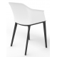 Cashew One Piece Plastic Shell Chair with 4 Black Legs