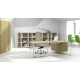 Plana Executive Desk with Modesty Panel and Fixed Pedestal 