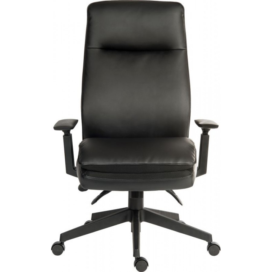 Plush Ergonomic Executive Leather Chair