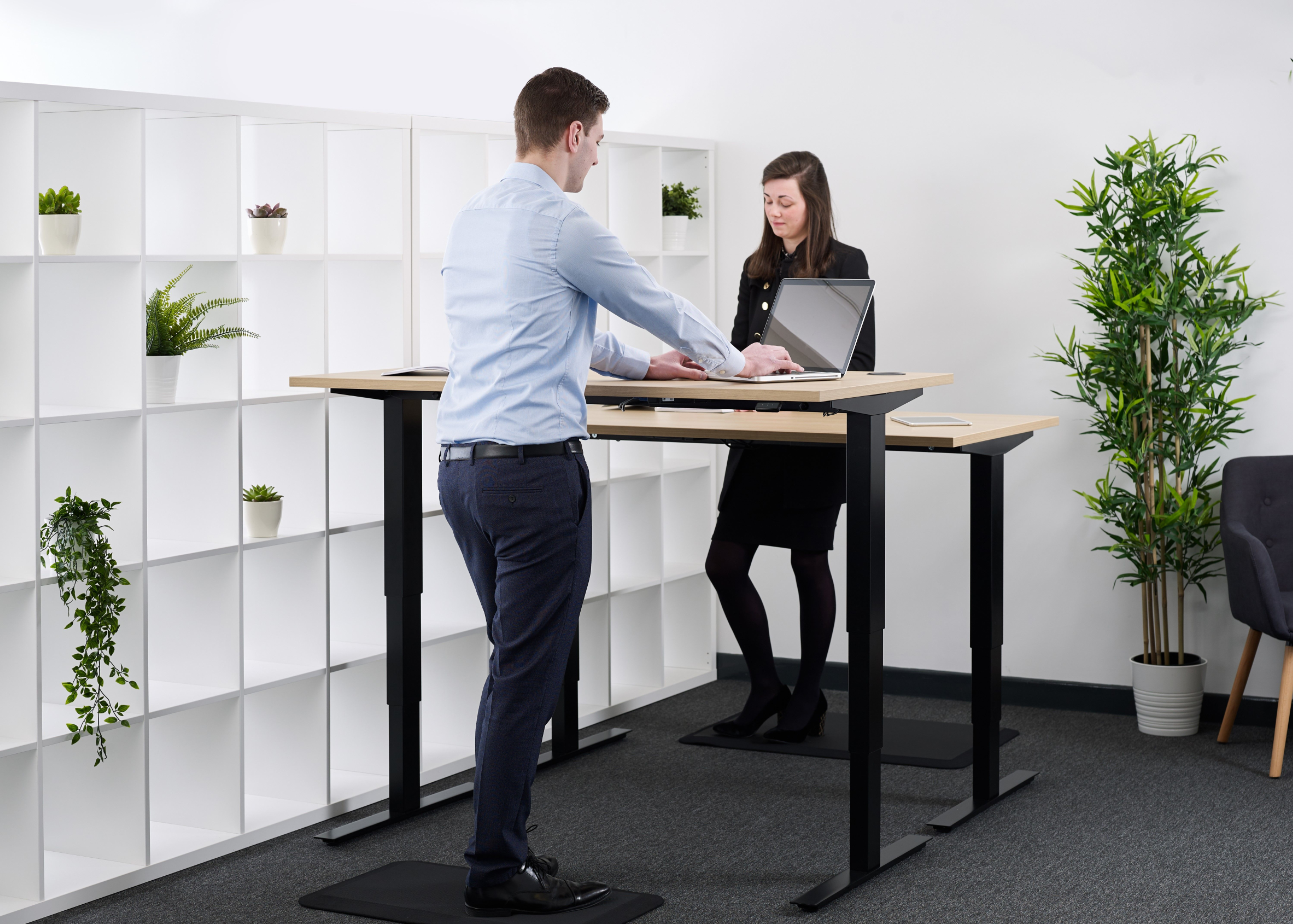 Raise Advance Dual Motor Height Adjustable Desk Adjustable Desks