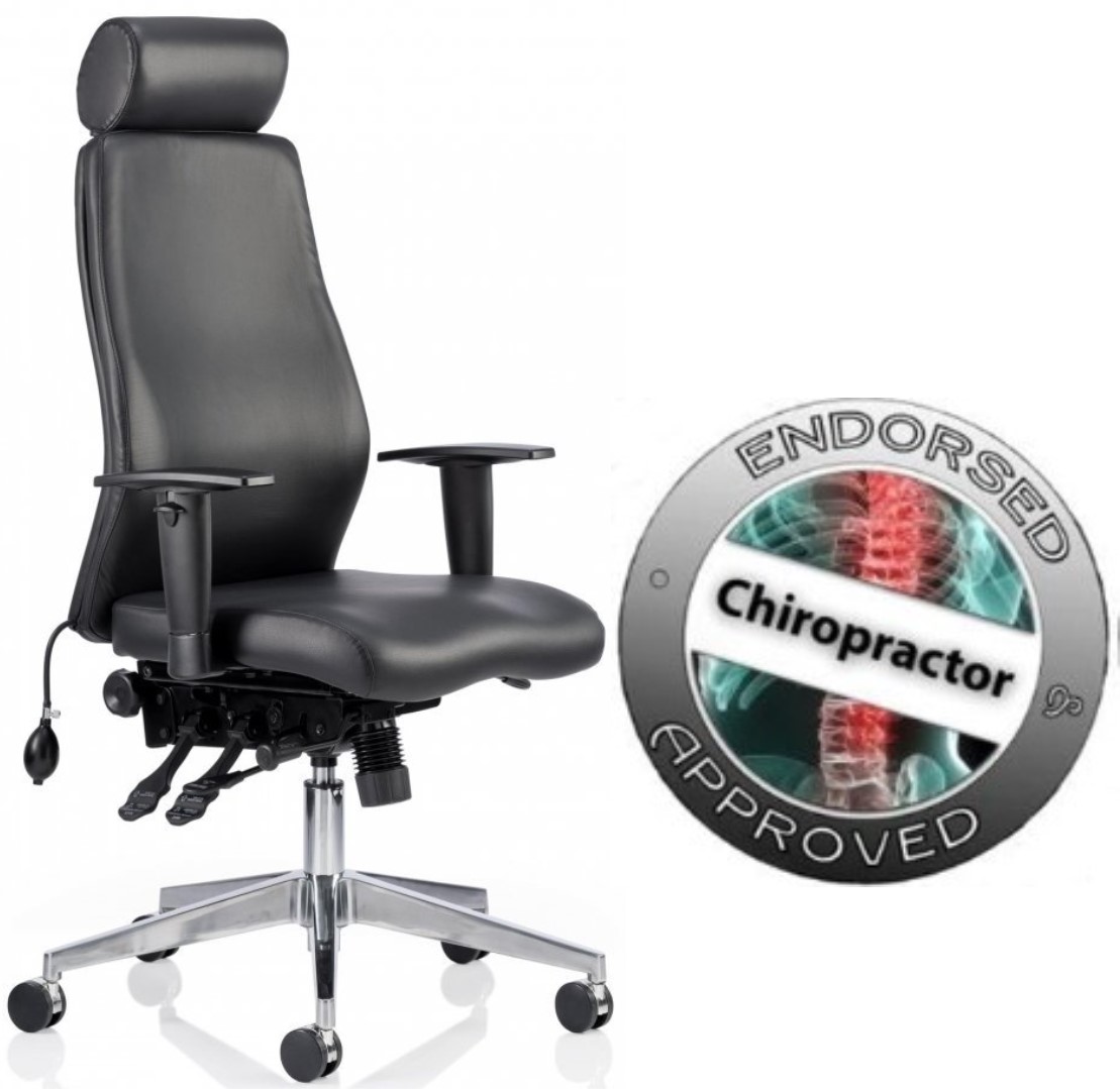 Posture Office Chairs Ergonomic Desk Chairs Office